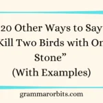 Other Ways to Say “Kill Two Birds with One Stone”