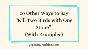 Other Ways to Say “Kill Two Birds with One Stone”