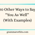 Other Ways to Say ‘‘You As Well’’