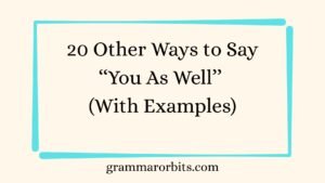 Other Ways to Say ‘‘You As Well’’