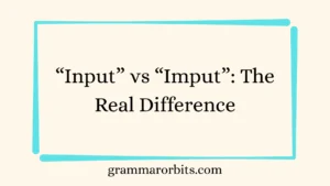 “Input” vs “Imput”: The Real Difference