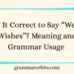 Is It Correct to Say “Well Wishes”