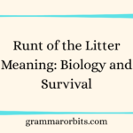 Runt of the Litter Meaning