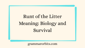 Runt of the Litter Meaning