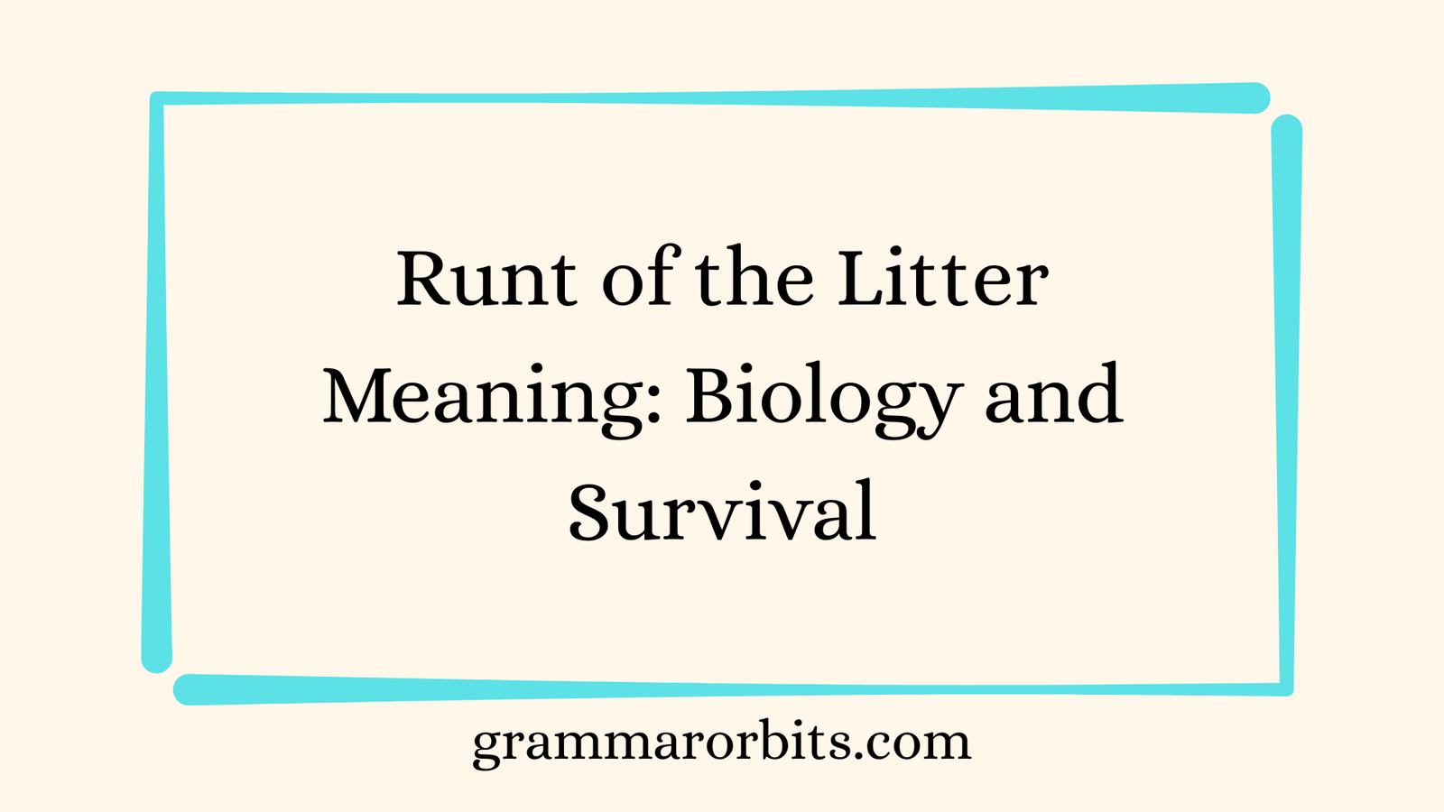 Runt of the Litter Meaning