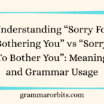 “Sorry For Bothering You” vs “Sorry To Bother You”