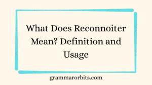 What Does Reconnoiter Mean