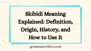 Skibidi Meaning