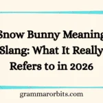 Snow Bunny Meaning Slang