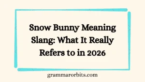 Snow Bunny Meaning Slang