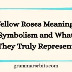 Yellow Roses Meaning