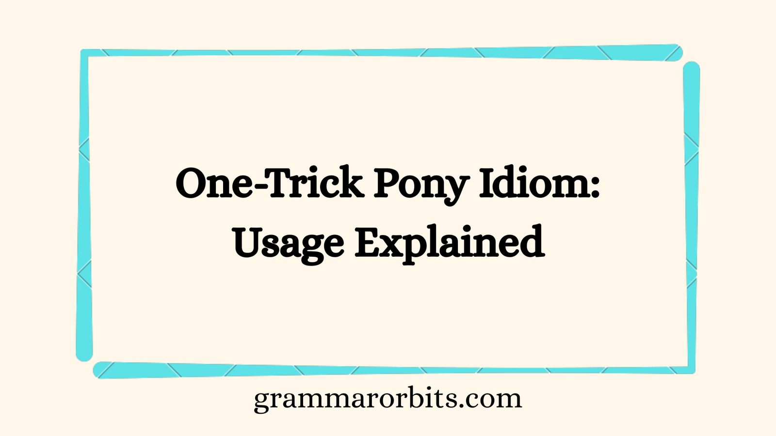One-Trick Pony Idiom