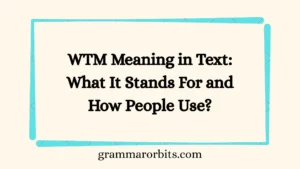 WTM Meaning in Text: What It Stands For and How People Use?