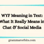 WYF Meaning in Text: What It Really Means in Chat & Social Media